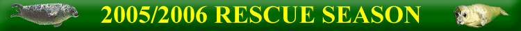 2005 - 2006 Rescues