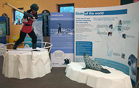 The International Fund for Animal Welfare (IFAW) exhibition