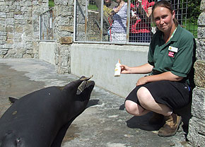 Sanctuary Set For Sizzling Summer