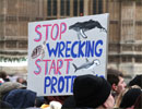 March for Marine Life