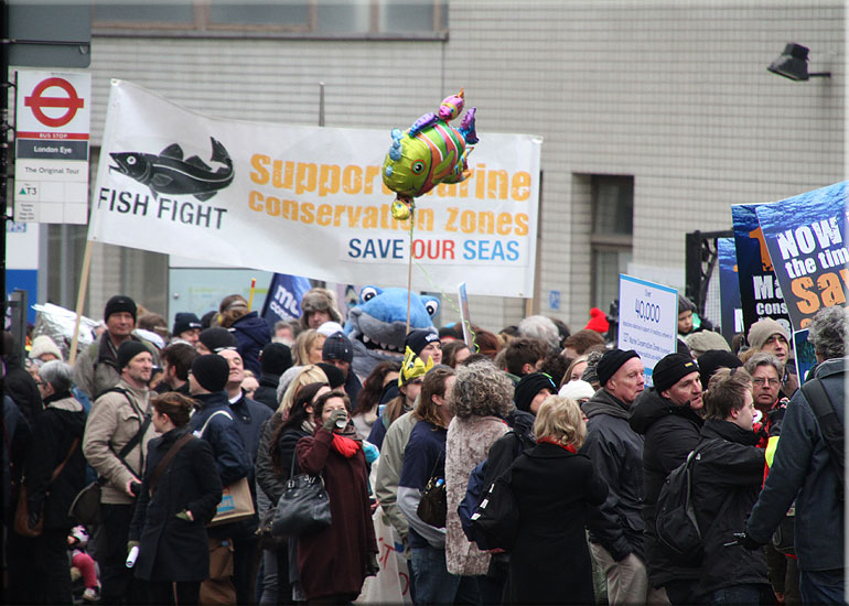 March to Save Marine Life