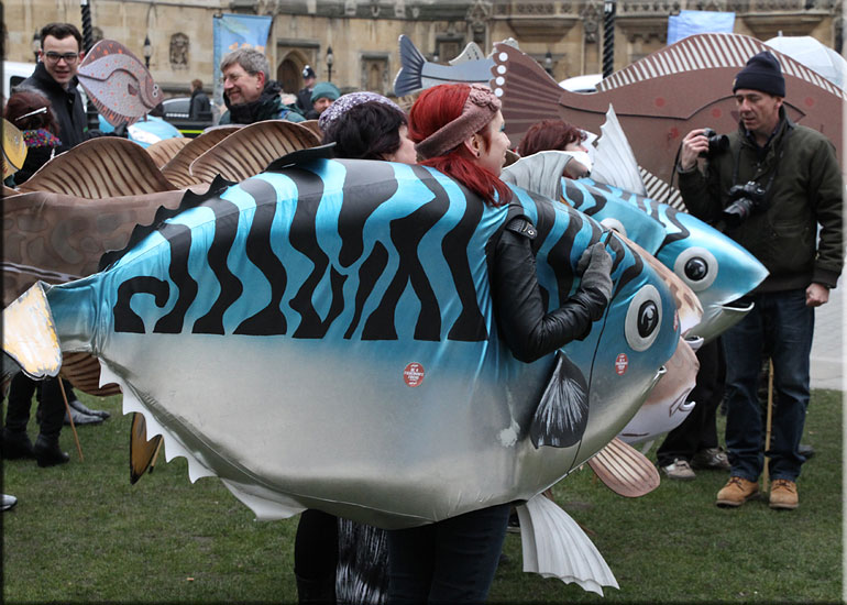 March to Save Marine Life