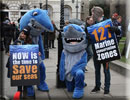 March for Marine Life