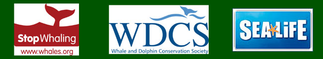 Stop Whaling - WDCS - SEALIFE logos