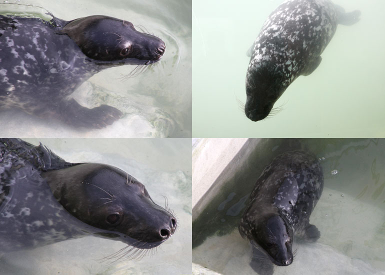 Photos of Bear Grylls taken on 28th December 2011