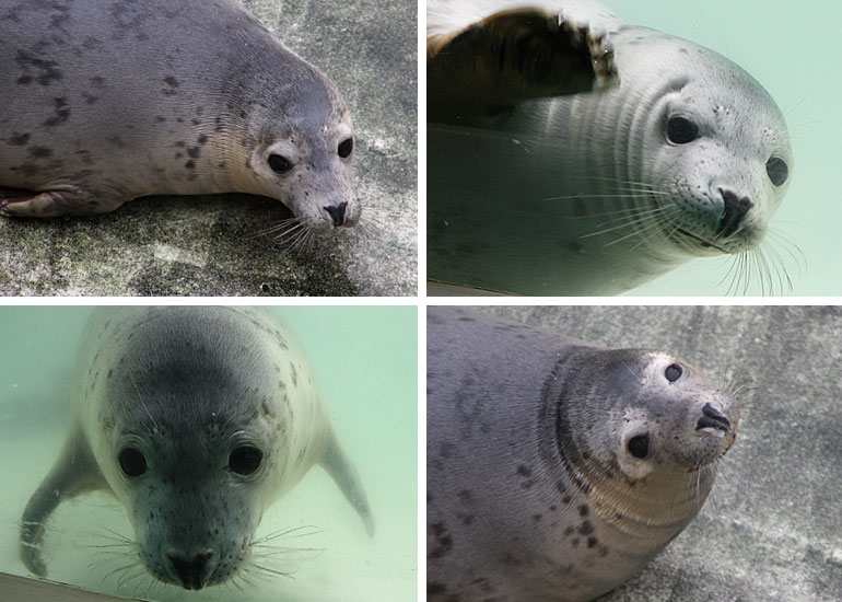 Boo - photos taken on 29th December 2010