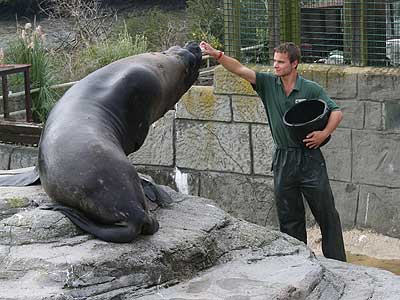Dan feeding Carus