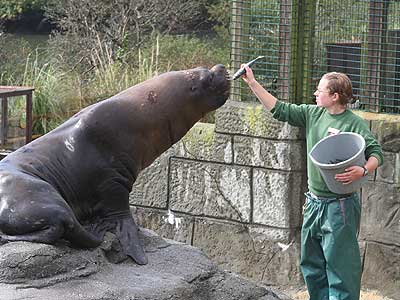 Tamara feeding Carus