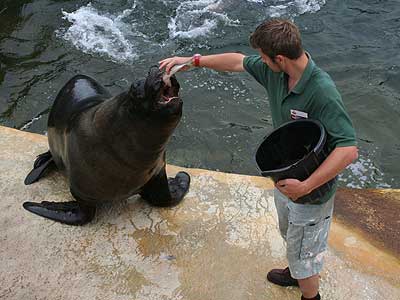 Dan feeding Carus