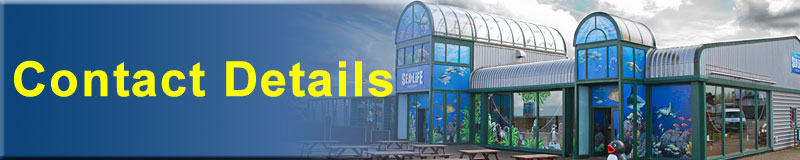 [Contact Details]