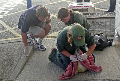 This photo of Dan, Tamara and Amy with Skittles at the heliport in Penzance on 13th September 2008 was taken by Dave Jarvis