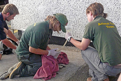 This photo of Dan, Tamara and Amy with Skittles at the heliport in Penzance on 13th September 2008 was taken by Dave Jarvis