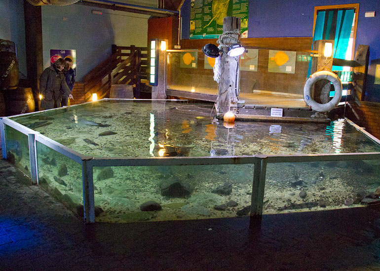 Aquarium