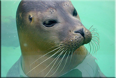 This photo was taken by Emma and Pete from Leicester during their visit in 2008