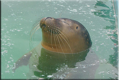 This photo was taken by Emma and Pete from Leicester during their visit in 2008