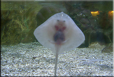 This photo was taken by Emma and Pete from Leicester during their visit in 2008