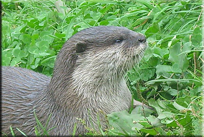 This photo was taken by Emma and Pete from Leicester during their visit in 2008