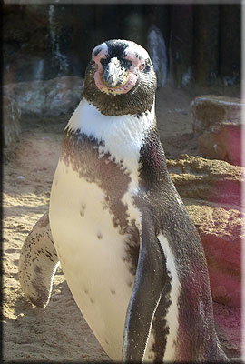 This photo was taken by Emma and Pete from Leicester during their visit in 2008