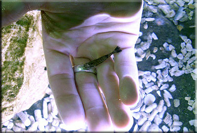 This photo was taken by Emma and Pete from Leicester during their visit in 2008