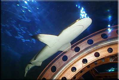 This photo was taken by Emma and Pete from Leicester during their visit in 2008