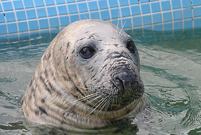 Fatima, one of our residents