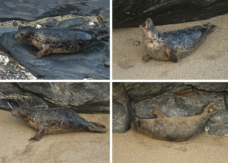 Photos taken by Simon Bone