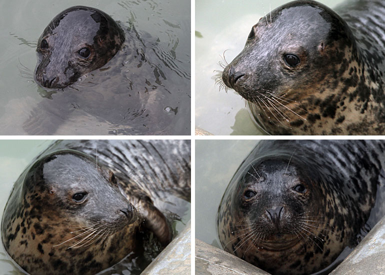 Fats Domino taken on 29th December 2010