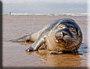 Photo copyright of Bruce Ferguson