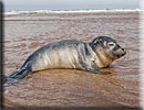 Photo copyright of Bruce Ferguson