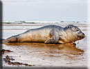 Photo copyright of Bruce Ferguson