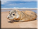 Photo copyright of Bruce Ferguson