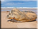 Photo copyright of Bruce Ferguson