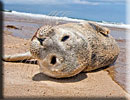 Photo copyright of Bruce Ferguson