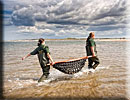 Photo copyright of Bruce Ferguson