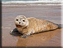 Photo copyright of Bruce Ferguson