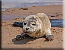 Photo copyright of Bruce Ferguson