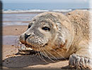 Photo copyright of Bruce Ferguson