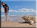 Photo copyright of Bruce Ferguson