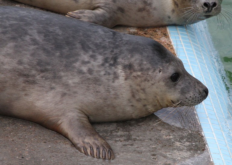 Photo of Finn taken on 28th December 2011