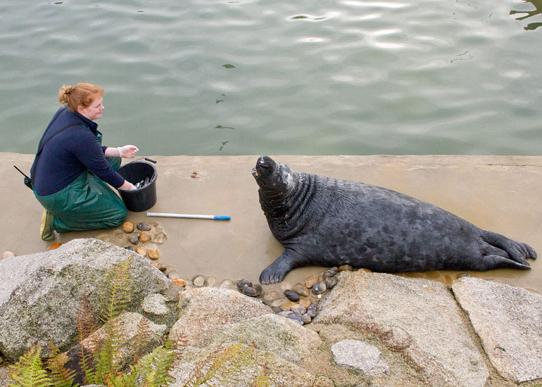 Jessica with Flipper - December 2012