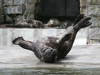 Time for a stretch!