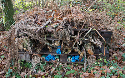 BUG HOTEL