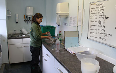Seal Hospital