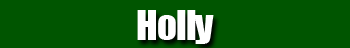 Holly