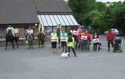 Walk for Whales