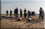 11th April 2016 seal release photos