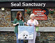 A gift from Swansea
