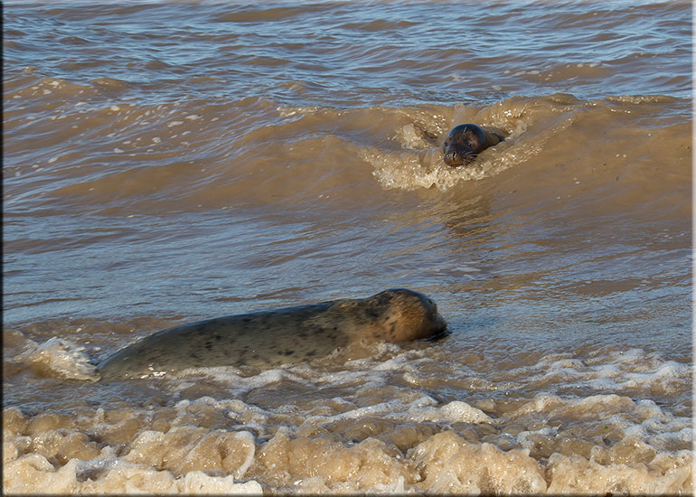 photo taken on 19th September 2015