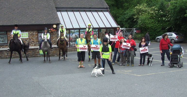 Walk for Whales
