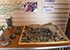 Marine Pollution Display
